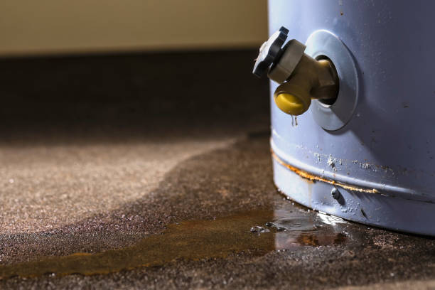 Best Water damage restoration near me  in Bent, NE