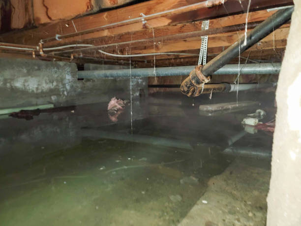  Bent, NE Water damage restoration Pros