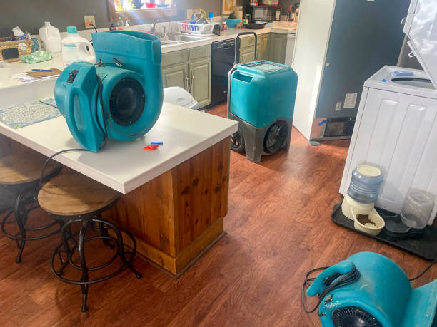 Best Residential water damage restoration  in Bent, NE