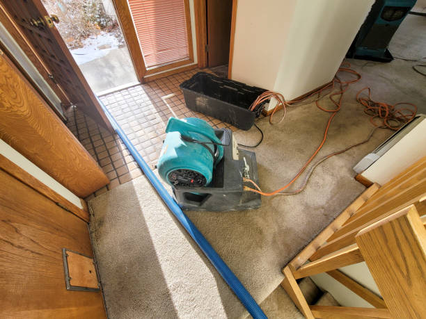Best Flood damage cleanup  in Bent, NE
