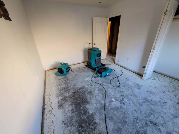 Best Water damage cleanup near me  in Bent, NE