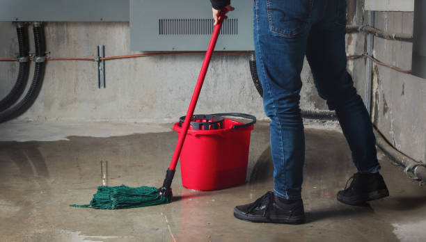 Best Sewage cleanup and water damage restoration  in Bent, NE
