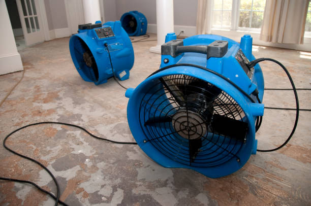 Best Fire Damage Restoration  in Bent, NE
