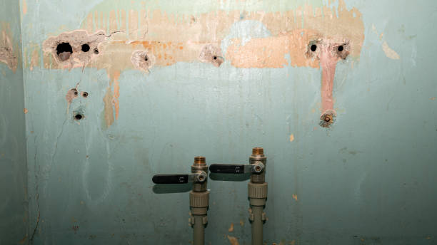 Best Basement water damage restoration  in Bent, NE