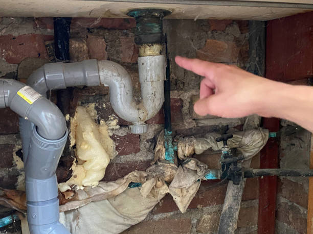 Trusted NE Water damage restoration Experts