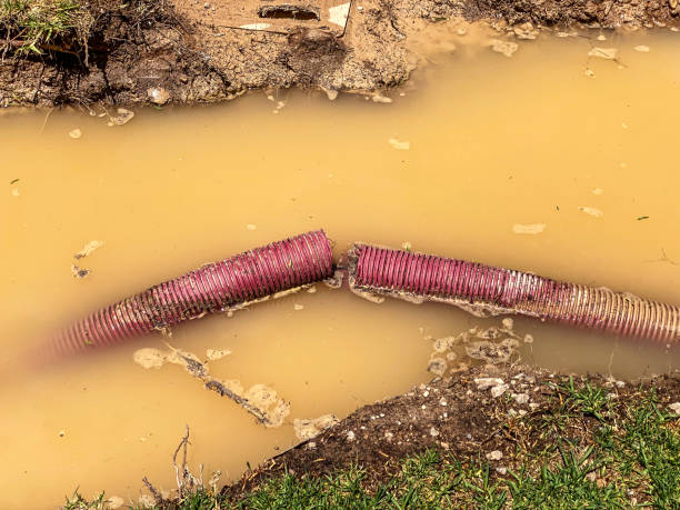 Best Water damage contractors near me  in Bent, NE