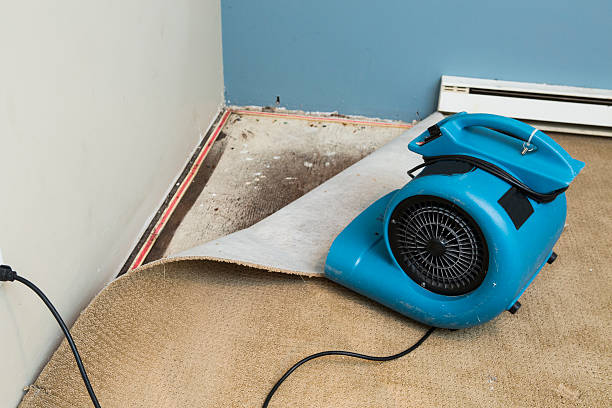 Best 24-hour water damage restoration  in Bent, NE
